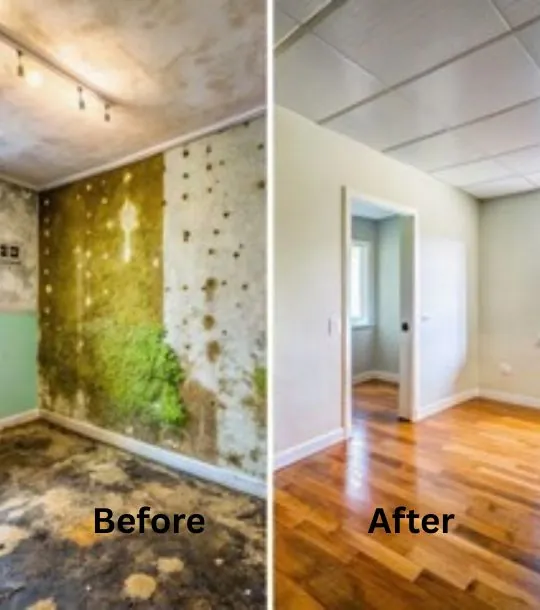 Wall with water damage and mould before mitigation, and after